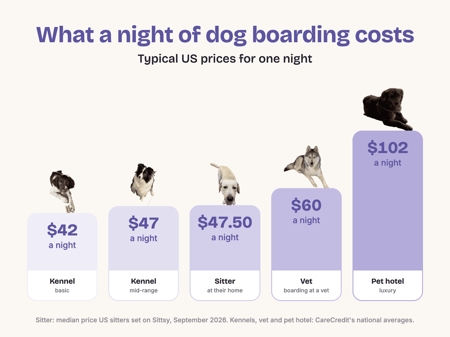 One night of dog boarding in the US: basic kennel $42, mid-range kennel $47, a sitter's home $47.50, boarding at a vet $60, luxury pet hotel $102
